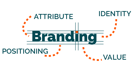 Branding - AMN
