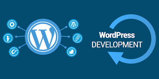 Wordpress Development - AMN